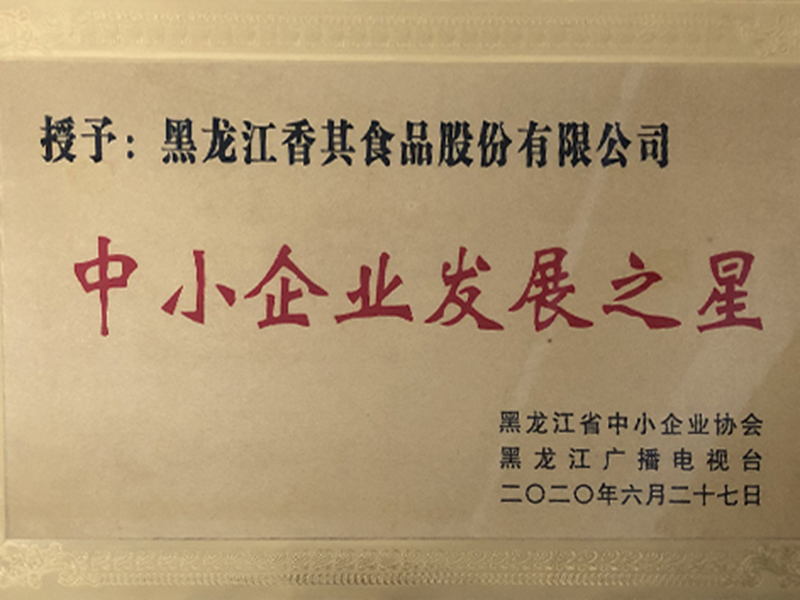 中小企业发展之星